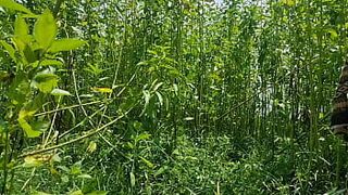 Desi Bhabhi hard fuck outdoor sex videos anal sex porn video